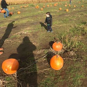 Meet your Posher, Tara